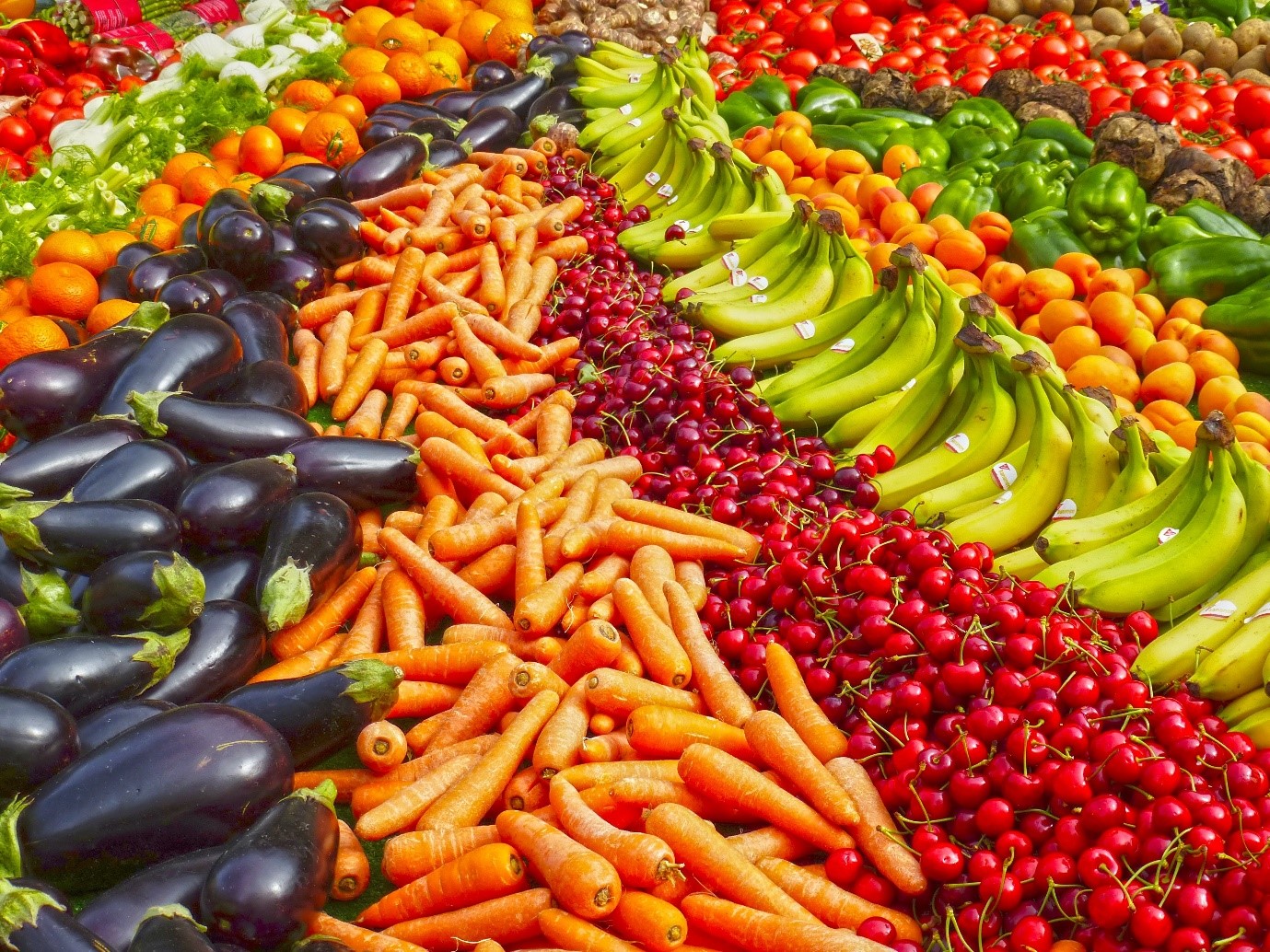 Agriculture - SOMBANA Gallery Image